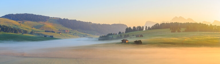 Die Wiesenbestattung ist eine ruhige und naturnahe Alternative zu traditionellen Bestattungsformen